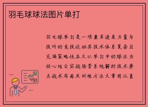 羽毛球球法图片单打